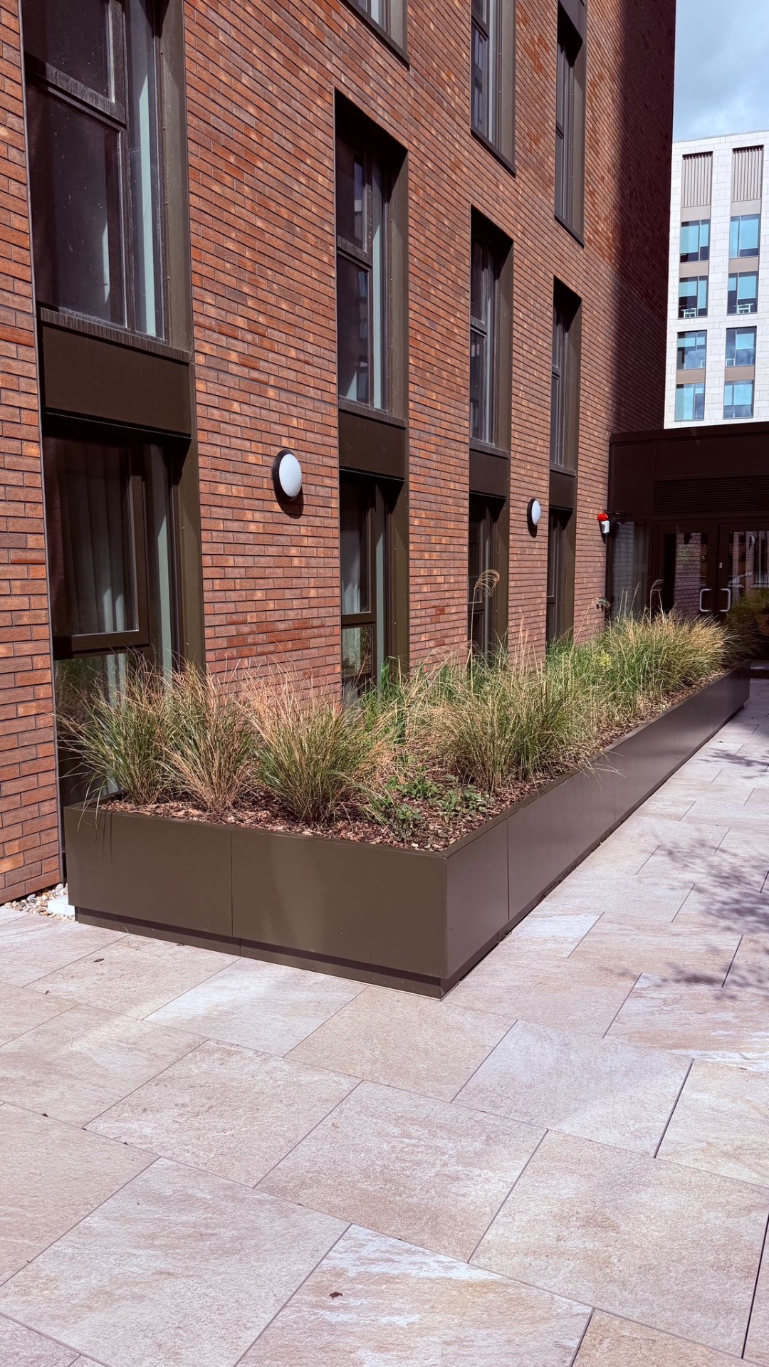 Long low-profile planter with ornamental grasses set against red brick façade. — comparable to schemes we deliver in Kensington & Chelsea