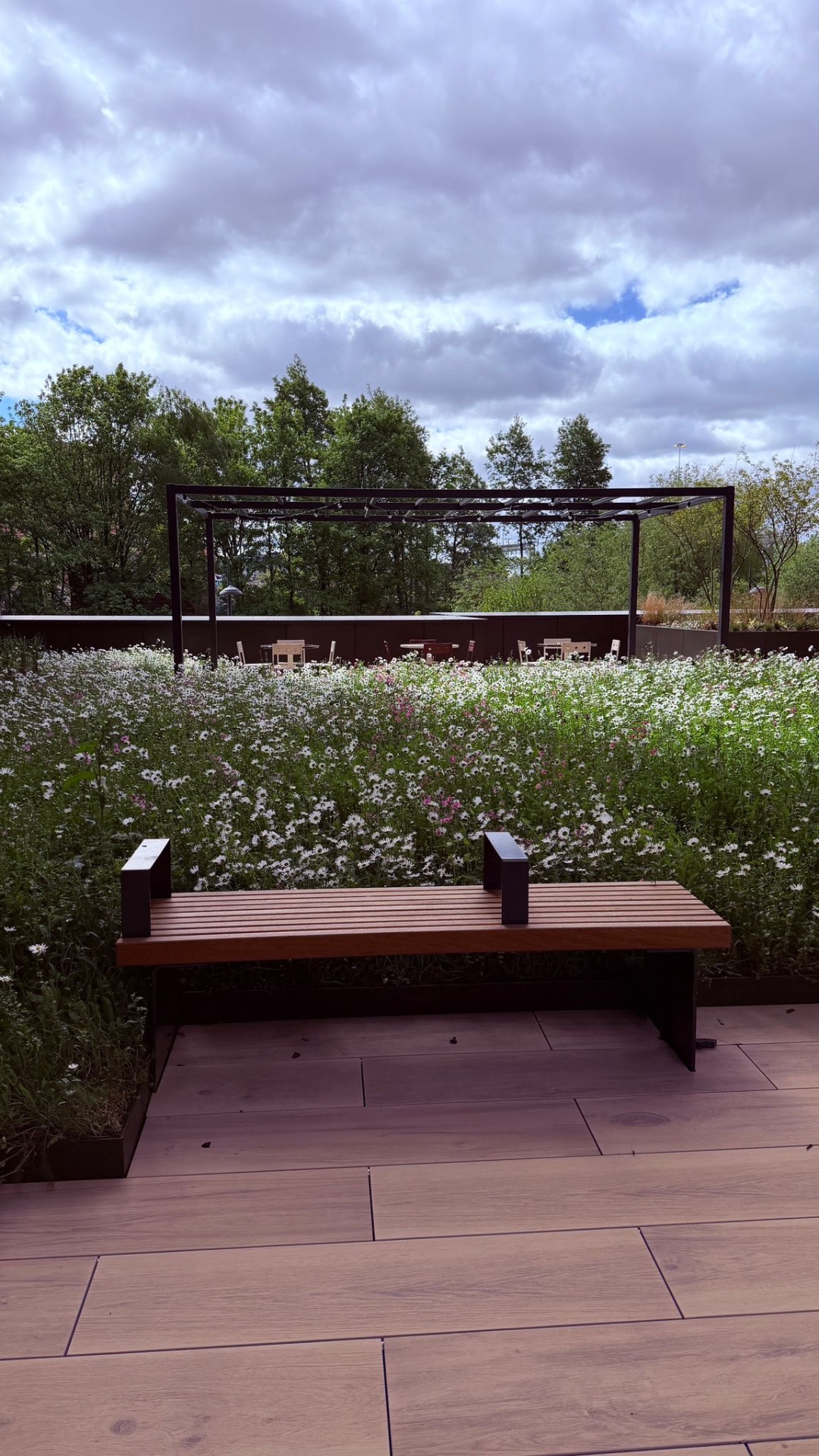 Hardwood bench on composite decking backed by a dense meadow planter. — comparable to schemes we deliver in Southwark