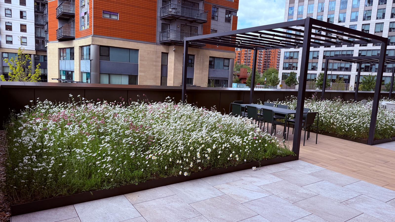 Raised meadow planter and steel pergola dining area on a podium roof terrace. — comparable to schemes we deliver in Camden
