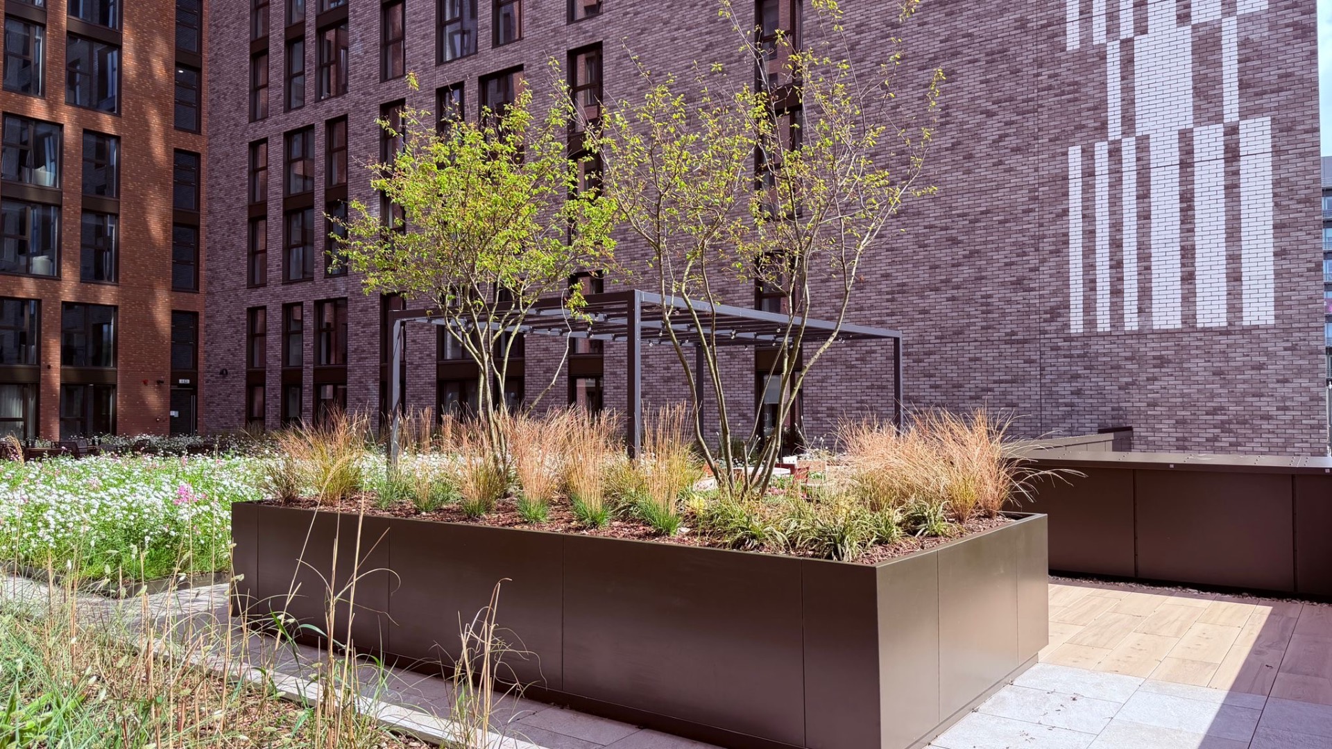Deep bronze planter with multi-stem trees and ornamental grasses on a landscaped terrace. — comparable to schemes we deliver in Tower Hamlets