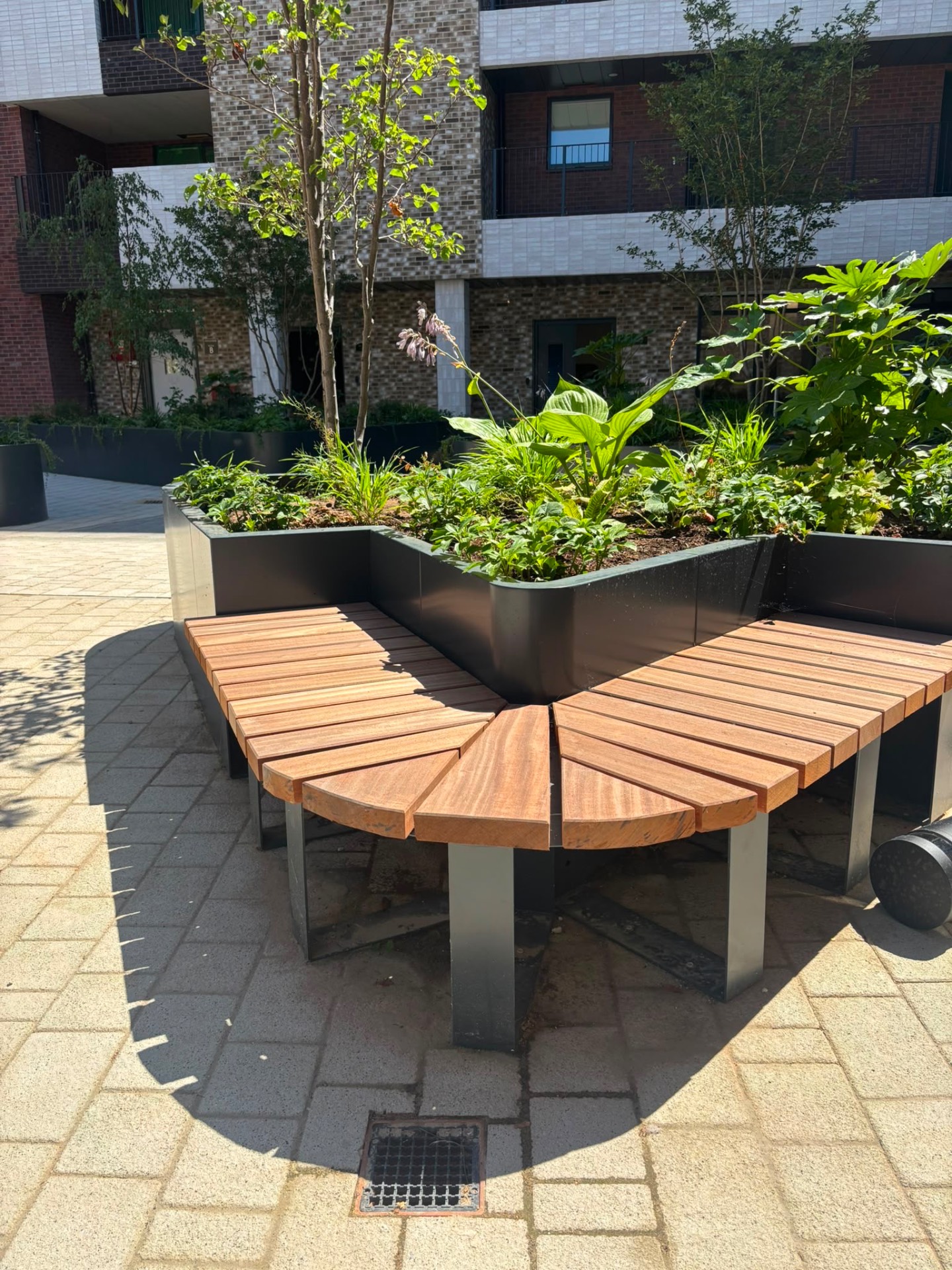 Close-up of curved timber bench wrapping an angular matte black planter with lush shade planting. — comparable to schemes we deliver in Wandsworth