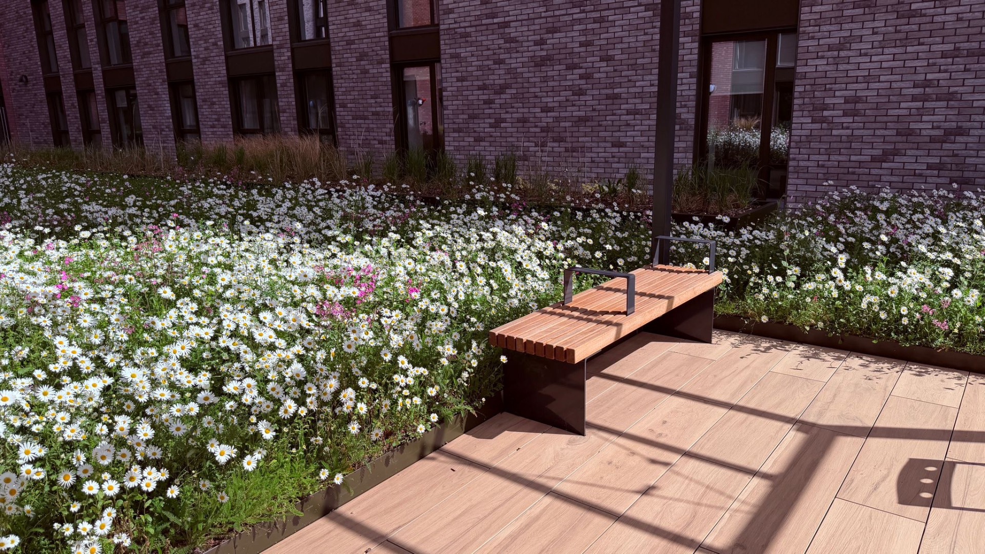 Hardwood bench with steel arm detail set into a wildflower planter edge. — comparable to schemes we deliver in Islington