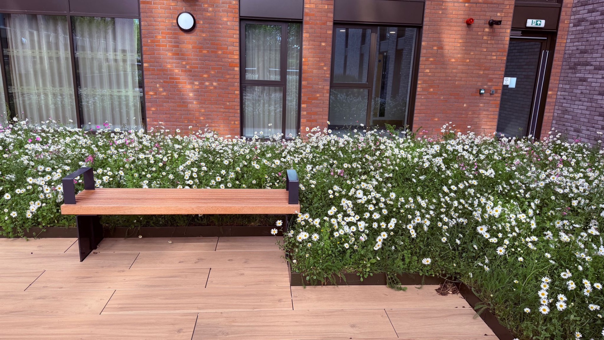 Bespoke metal planters of the kind we fabricate and install in Tower Hamlets — Integrated bench and wildflower planter — daisies and cosmos in full bloom.