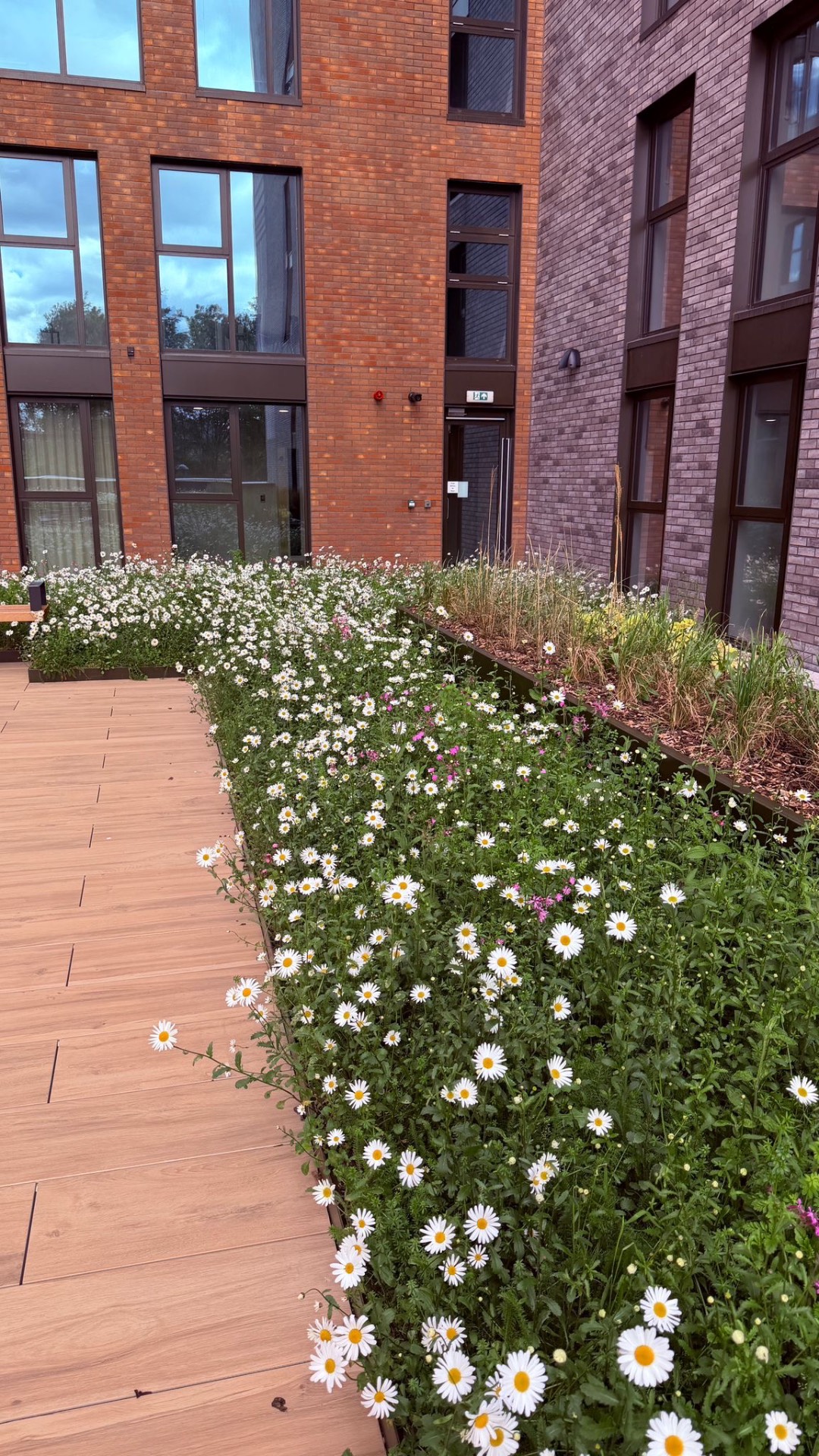 Bespoke metal planters of the kind we fabricate and install in Islington — Bronze-finish planter run edging a resident courtyard, brimming with white and pink wildflower meadow planting.